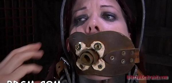 Free sadomasochism sex stories